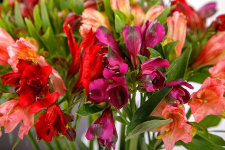 Букет из 15 альстромерий микс