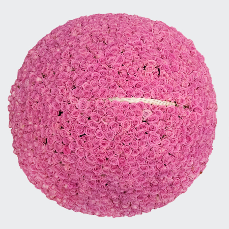 Букет 1001 роза Аква в корзине