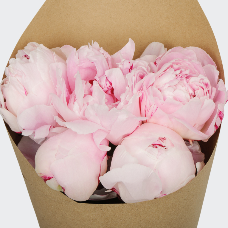 Букет из 5 пионов Страна грез