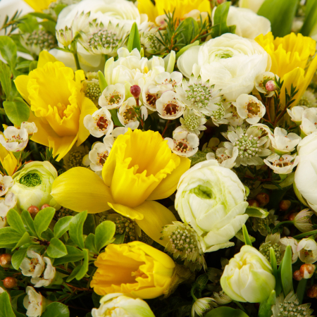 Букет Волшебная гора