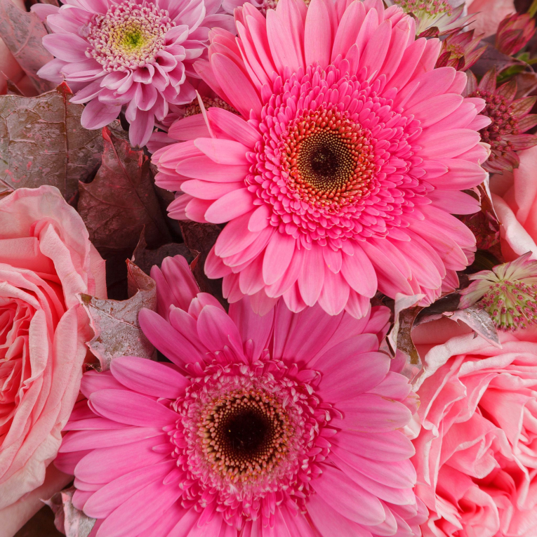 Букет Моя королева