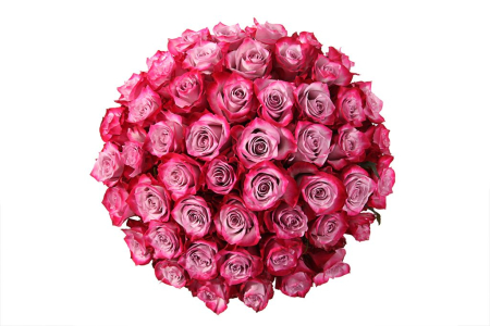 Букет 51 роза Дип Перпл в шляпной коробке