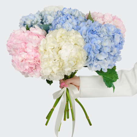 Букет 7 гортензий Цветочные облака