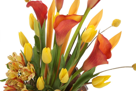 Композиция Трон Гелиоса