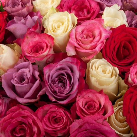 Букет из 101 розы Розовый сад