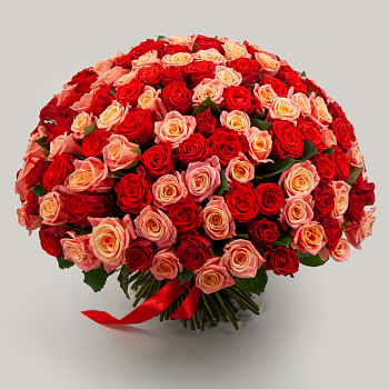 Букет из 151 розы Румянец зари