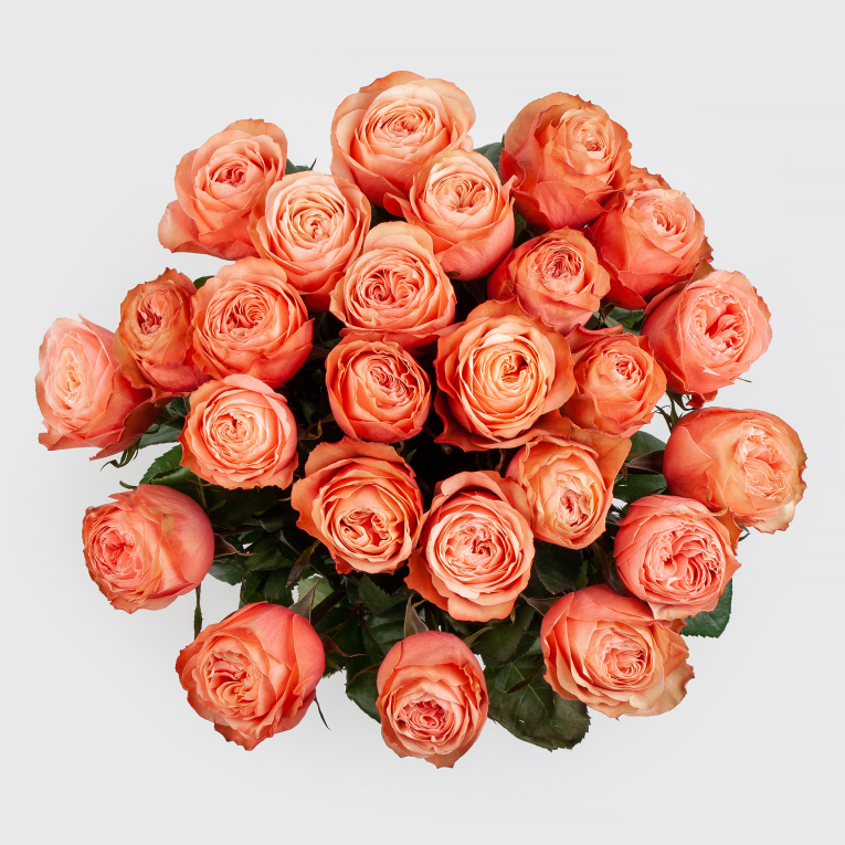 Букет 25 роз Кахала (Эквадор), 50 см