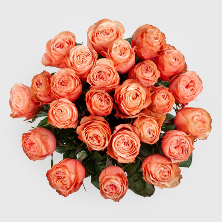 Букет 25 роз Кахала (Эквадор), 50 см
