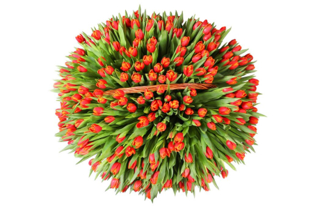 Букет На краю света в коризне