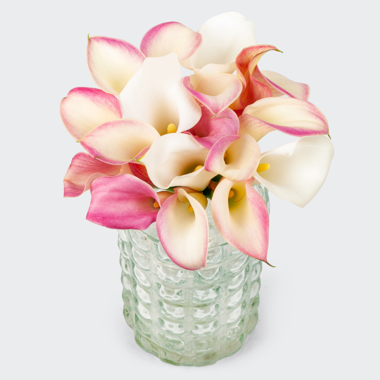 Букет из калл Белоснежка