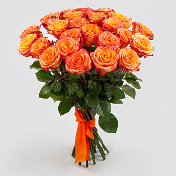 Букет 25 роз Хай Мэджик (Эквадор), 60 см