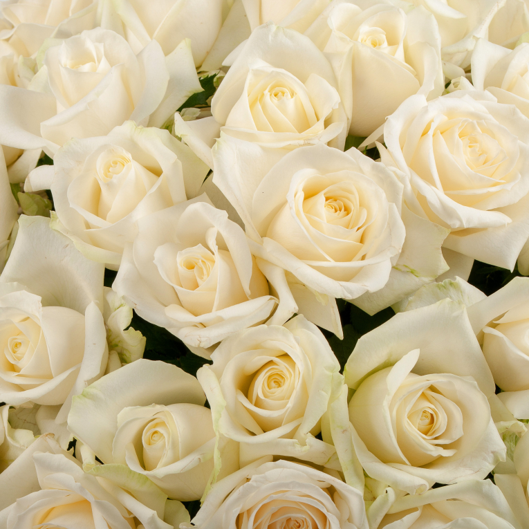 Букет в корзине Мелодия любви (101 роза)