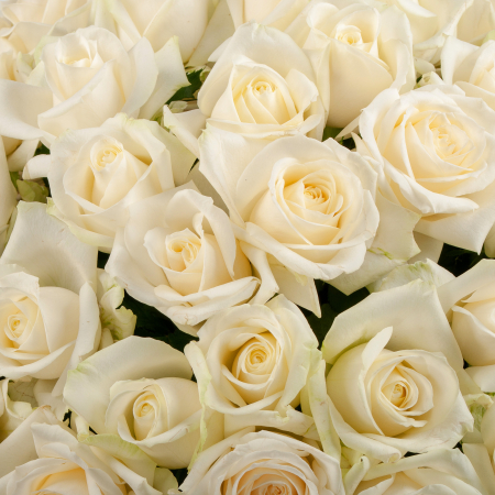 Букет в корзине Мелодия любви (101 роза)