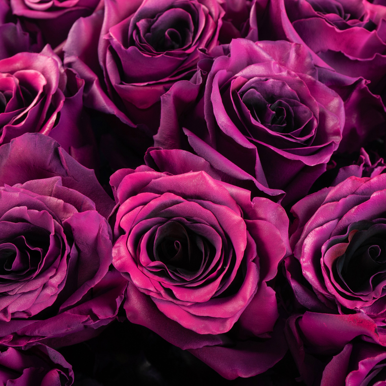 Букет 35 роз Одна любовь