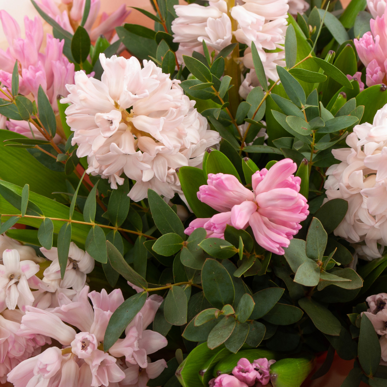 Букет гиацинтов Розовая луна