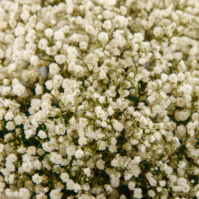 Букет в коробке Добрые сны