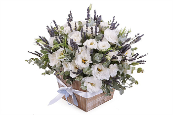 Букет Белая волна в кашпо