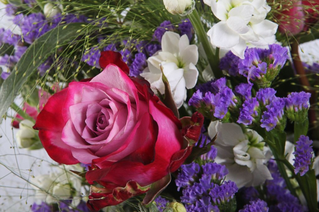 Букет Берлинский роман