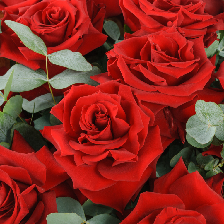 Букет из 15 красных роз Пламя страсти