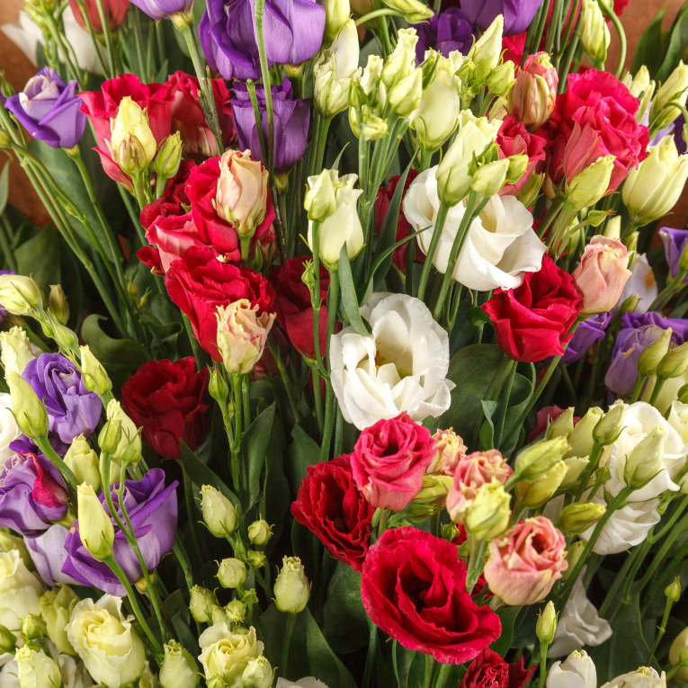 Букет из эустомы Мираж (макси)