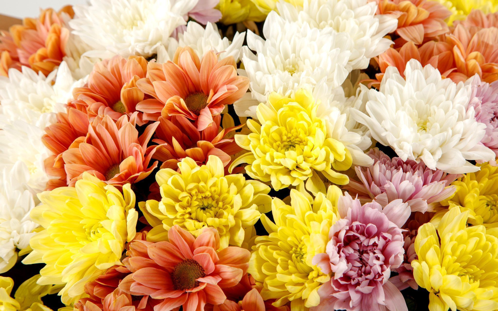 Комбо из букетов Небо и звезды