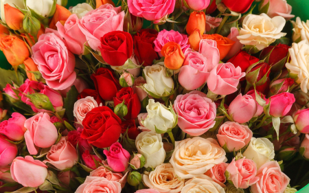 Букет 21 кустовая роза в фоамиране