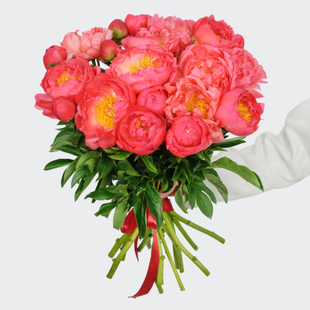 Букет 19 пионов В порыве чувств