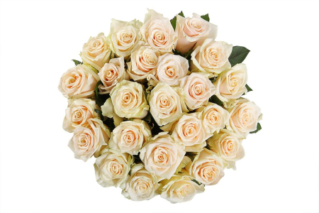 Букет 25 роз Талея