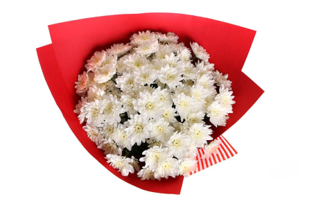 Букет 15 белых кустовых хризантем в красной бумаге