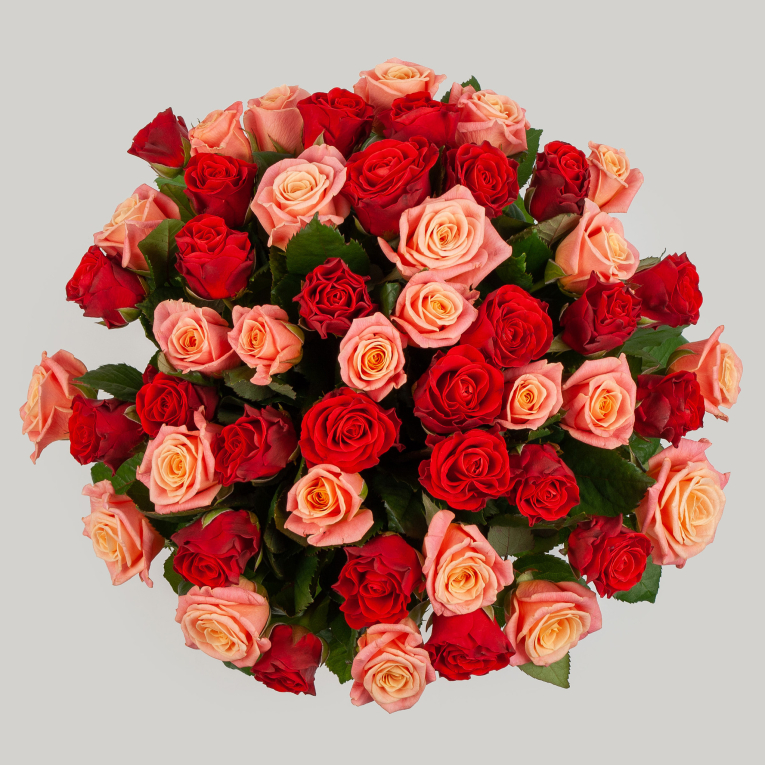 Букет из 51 розы Румянец зари