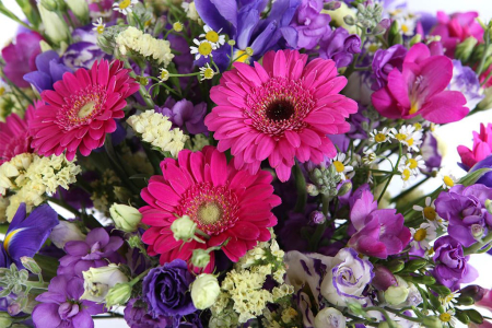 Букет с герберами и фрезией Заряница