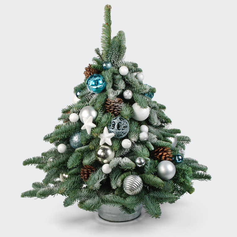 Композиция Первый снег