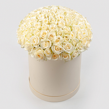 Букет в белой коробке Первая нежность (101 роза)