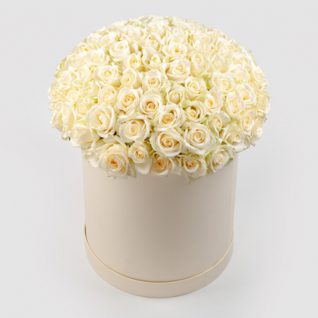 Букет в белой коробке Первая нежность (101 роза)