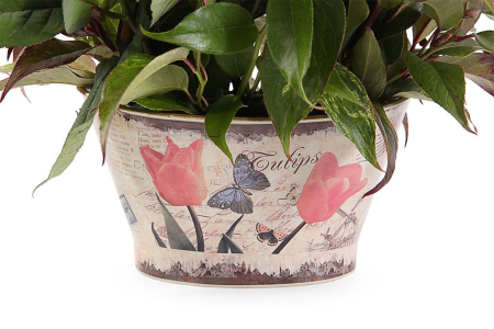 Букет Цветение розы