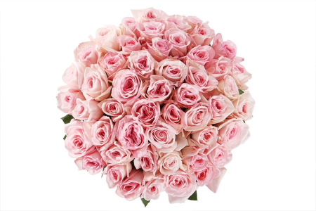 Букет 51 роза Пинк О'Хара