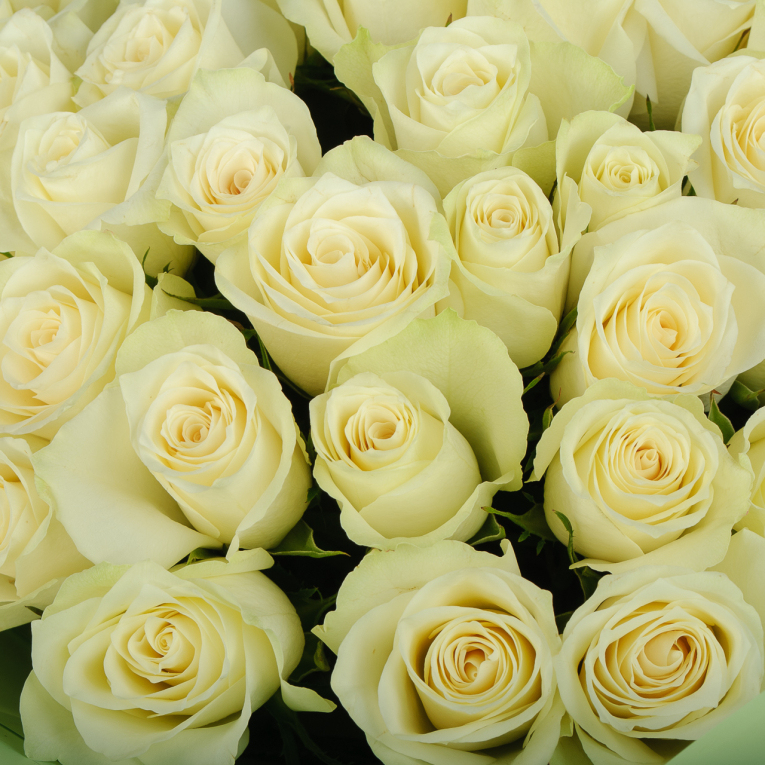 Букет из 51 розы Жемчужное ожерелье