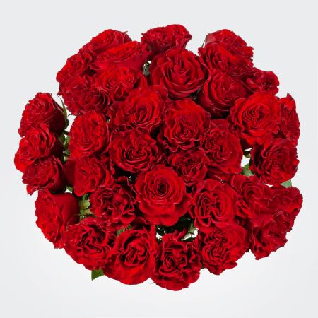 Букет 35 роз Хартс (Эквадор), 60 см