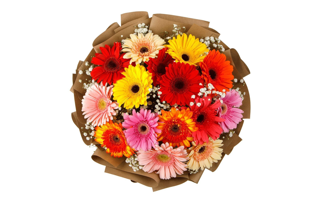 Букет из 15 гербер Звездный иней