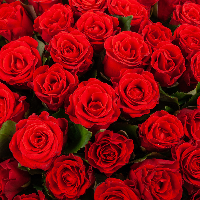 Букет из 101 розы Золотые дни