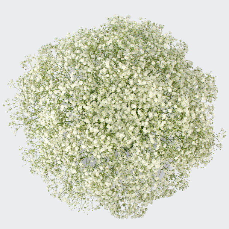 Букет в кашпо Белый шум