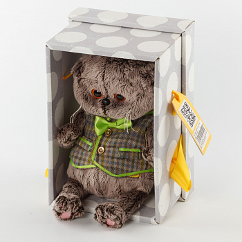 Кот Басик BABY в клетчатом жилете