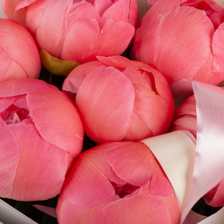 Букет из пионов Радостные вести