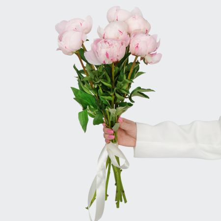 Букет из пионов 7 комплиментов