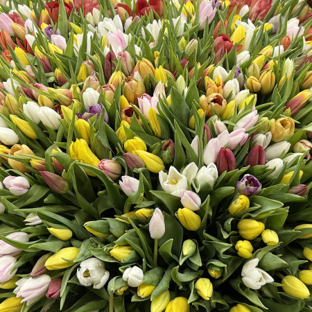 Букет 1001 тюльпан в корзине