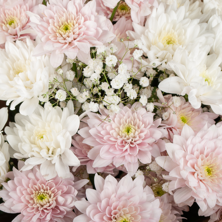 Букет Радость света