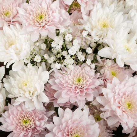 Букет Радость света