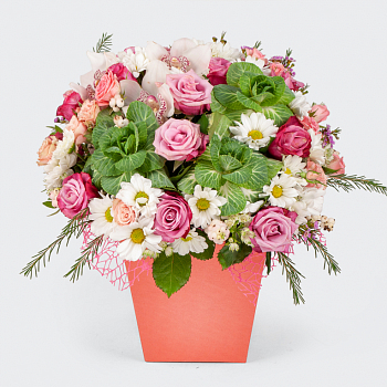 Композиция в кашпо Маленький садик