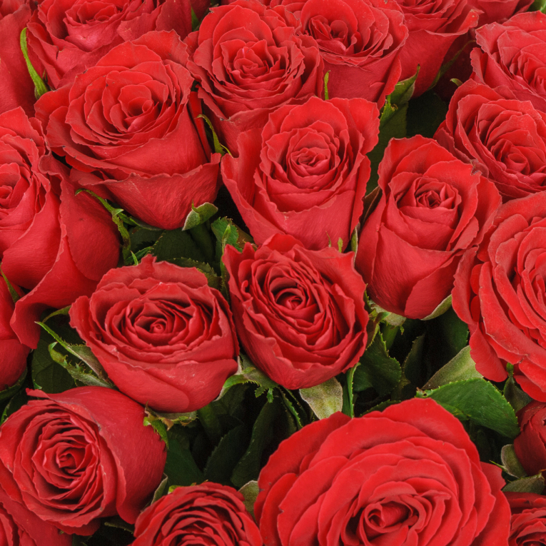 Букет из 51 розы Валентинка