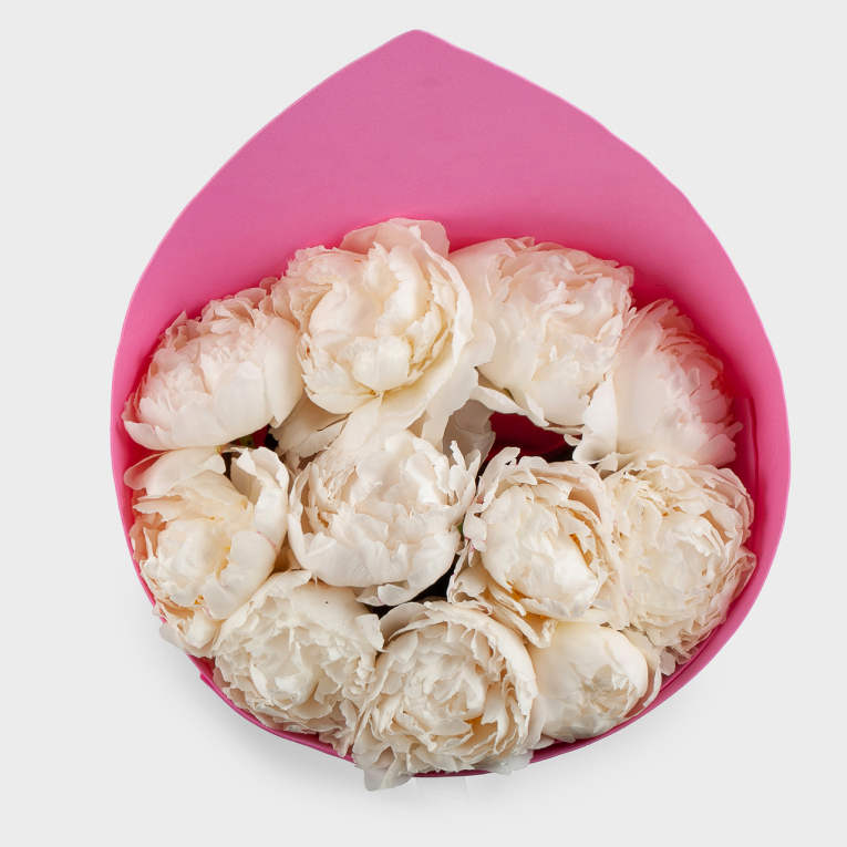 Букет из 11 пионов Песня ангела